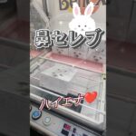 【千代紙】ティッシュってダブルだけど、シングルにして使うよって人ー🙋‍♀️？　#shorts#クレーンゲーム#ゲーセン#コツ#お菓子#攻略#ちいかわ#ぬいぐるみ#3本爪＃雑貨