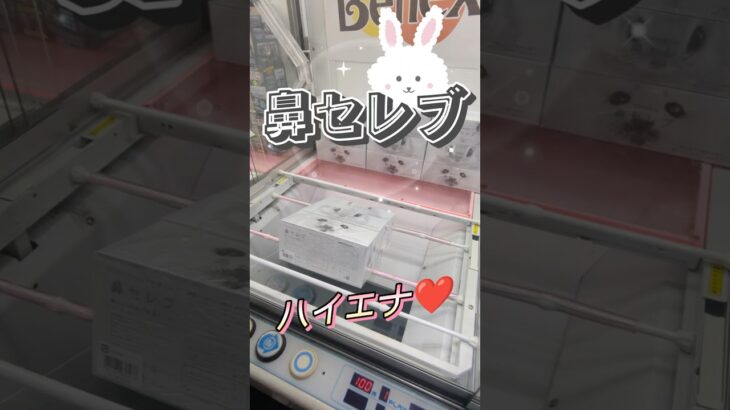 【千代紙】ティッシュってダブルだけど、シングルにして使うよって人ー🙋‍♀️？　#shorts#クレーンゲーム#ゲーセン#コツ#お菓子#攻略#ちいかわ#ぬいぐるみ#3本爪＃雑貨