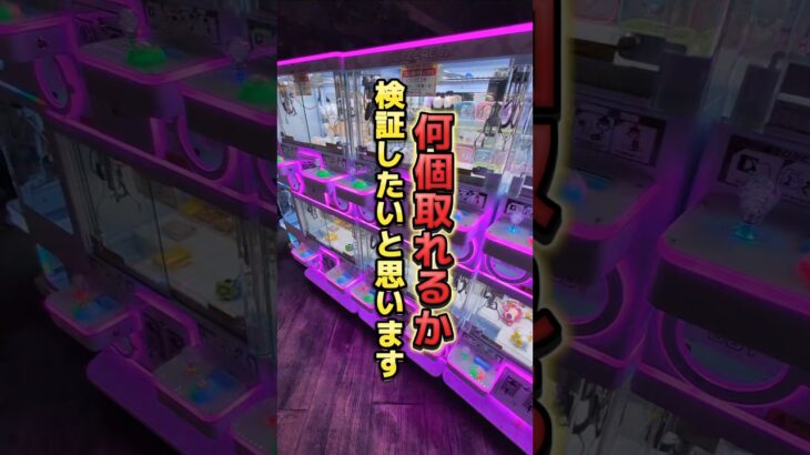 確率なんか己の運で引き寄せるまで👍#クレーンゲーム #ufoキャッチャー #ゲームセンター #クレーンゲーム攻略  #確率無視