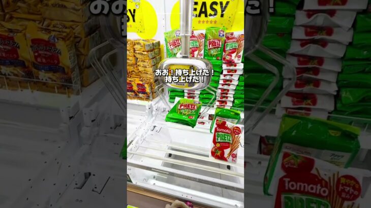 これでハリウッド女優と結婚します💍#クレーンゲーム #クレーンゲーム攻略 #クレゲ #ゲームセンター #ゲーセン #ufoキャッチャー #確率無視 #おかし #プリッツ