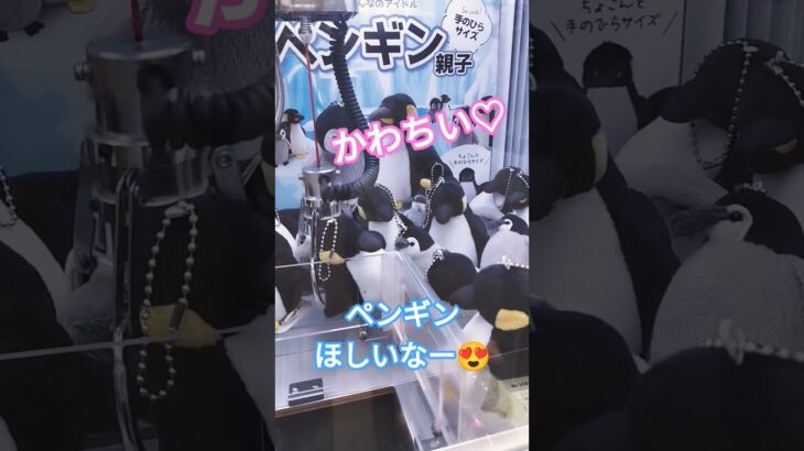 ペンギン親子ほしい😍 #クレーンゲーム景品 #クレーンゲーム #ショート #ゲームセンター #クレーンゲーム攻略 #ufoキャッチャー #ペンギン