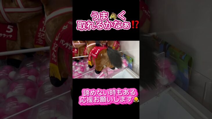 諦めない時もある‼️応援お願い致します♪ #クレーンゲーム #アミューズメント限定 #クレーンゲームの沼さん #ゲームセンター #プライズ獲得 #ゲーセン #ufoキャッチャー #ぬいぐるみ#回遊館