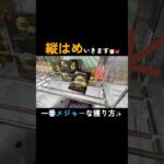 【クレーンゲーム】#ポップワールド大垣店 さんで縦はめ解説✌ #クレーンゲーム #クレゲ #ゲームセンター #ufoキャッチャー  #おかし #ポップワールド大垣