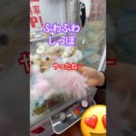 #クレゲ#クレゲ中毒 #クレーンゲーム #ゲームセンター #ufoキャッチャー #攻略 #しっぽ