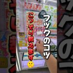 【 クレーンゲーム 】初心者必見！フックのコツこっそり教えます！#クレーンゲーム#ufoキャッチャー #ゲームセンター