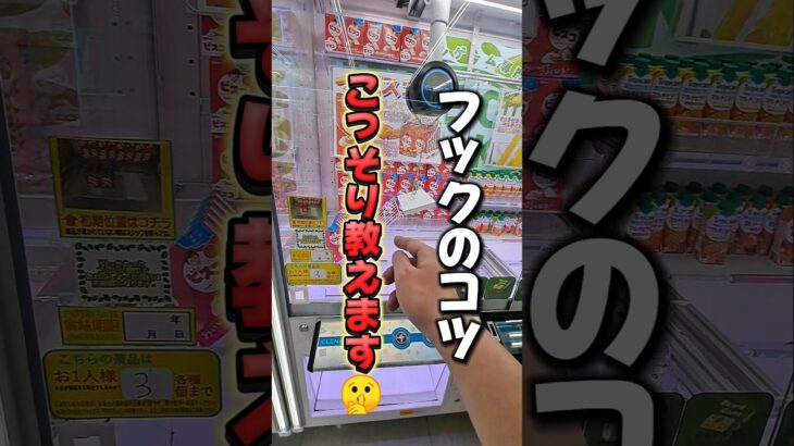 【 クレーンゲーム 】初心者必見！フックのコツこっそり教えます！#クレーンゲーム#ufoキャッチャー #ゲームセンター