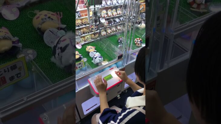 あーちゃんのクレーンゲーム挑戦　#クレーンゲーム攻略 #クレーンゲーム #ufoキャッチャー #100円娯楽 #伊東市 #short #shorts