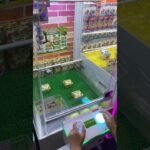 あーちゃんのクレーンゲーム挑戦　#クレーンゲーム攻略 #クレーンゲーム #ufoキャッチャー #100円娯楽 #伊東市 #short #shorts