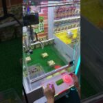 あーちゃんのクレーンゲーム挑戦　#クレーンゲーム攻略 #クレーンゲーム #ufoキャッチャー #100円娯楽 #伊東市 #short #shorts