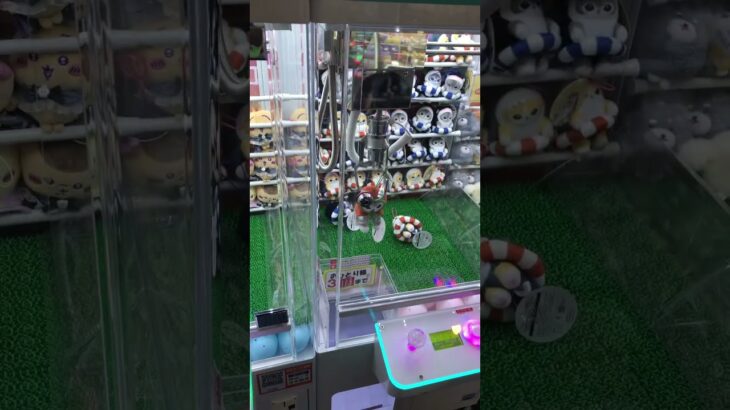 あーちゃんのクレーンゲーム挑戦　#クレーンゲーム攻略 #クレーンゲーム #ufoキャッチャー #100円娯楽 #伊東市 #short #shorts