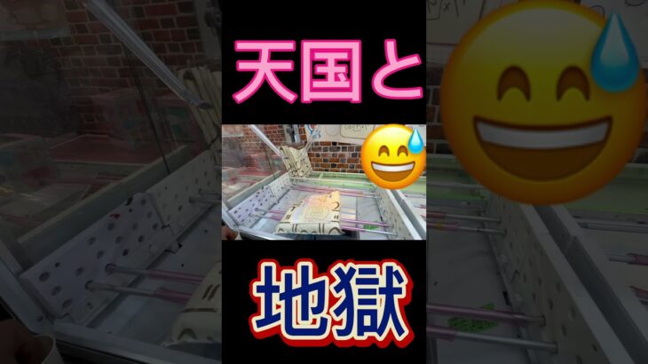 ちょっとの違いが天国と地獄😅 #クレーンゲーム #アミューズメント限定 #クレーンゲームの沼さん #ゲームセンター #プライズ獲得 #ゲーセン #ufoキャッチャー