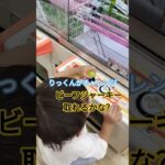 ぼくちんビーフジャーキー食べられないけどほしいよ🥰 #クレーンゲーム景品 #クレーンゲーム攻略 #ショート #ufoキャッチャー #ミニクレーンゲーム #ビーフジャーキー #2歳 #2歳男の子