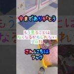 【攻略】一手突き回しの終わりはなかちんの終わり…？？#クレーンゲーム #ufoキャッチャー
