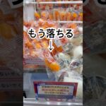自然に落ちそうなエビフライをとってみる♪＃ゲームセンター#クレーンゲーム #景品 #ufoキャッチャー