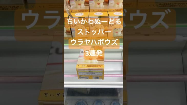 ちいかわ ぬーどるストッパー ウラヤハボウズ うさぎ #プライズ獲得 #クレーンゲーム #クレゲ攻略 #ufoキャッチャー
