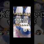 【１分動画☝️😇 】#ufoキャッチャー #クレーンゲーム景品 #クレーンゲーム動画 #クレーンゲーム#GET品#ゲームセンター#クレーンゲーム攻略#夾娃娃店#和室からお届け#3本爪