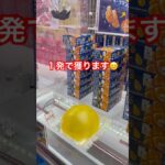 く #クレーンゲーム #ゲームセンター #ufoキャッチャー #ゲーセン #ufoキャッチャー動画 #攻略