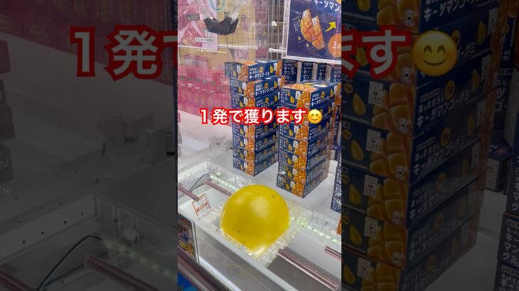 く #クレーンゲーム #ゲームセンター #ufoキャッチャー #ゲーセン #ufoキャッチャー動画 #攻略