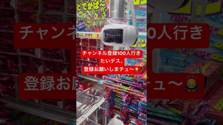 #クレーンゲーム #ゲームセンター #ufoキャッチャー #ゲーセン #ufoキャッチャー動画 #攻略