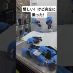 レア設定!?! スンスン　　スライダー　　攻略方　　　　　　　　#クレーンゲーム #ufoキャッチャー #ゲームセンター  #인형뽑기 #오락실 #ぬいぐるみ #ufocatcher #スンスン　　　