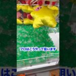 ぬいぐるみがめっちゃ取れると噂のラウンドワンに潜入したらまさかの展開に！！！クレーンゲーム,ufoキャッチャー,ゲーセン,clawmachine,arcade,夾娃娃,日本夾娃娃
