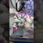 クレーンゲーム(一撃)/マイメロ(サンリオ)#クレーンゲーム#ufoキャッチャー#コツ#一発#shorts
