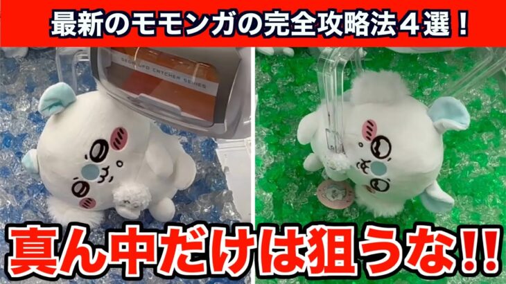 【クレーンゲーム】一発でも取れる！ちいかわ・モモンガもぐもぐぬいぐるみを簡単攻略！