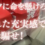 【クレーンゲーム】後編：埼玉の有名ゲーセンに潜入！