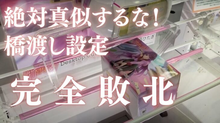 【クレーンゲーム】前編：埼玉の有名ゲーセンに潜入！