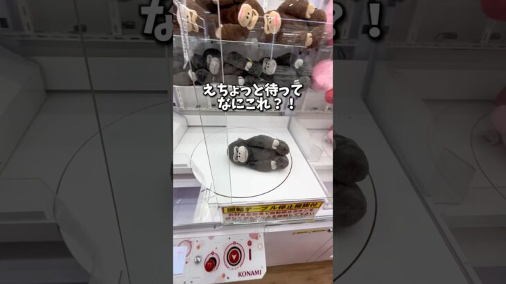【ゲーセン】土台が回転する見たことない台を発見したので挑戦してみました。(クレーンゲーム)