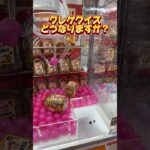 クレーンゲームクイズ！どうなるでしょう？？