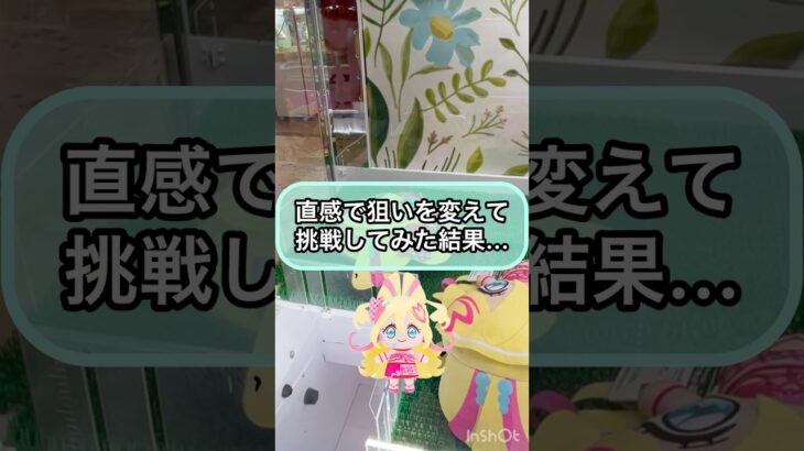 【クレーンゲーム攻略】直感で狙いを変えて挑戦してみた結果！！