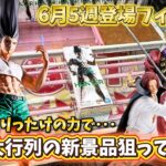 【クレーンゲーム】デカ箱祭り！大行列の新景品狙ってみた！