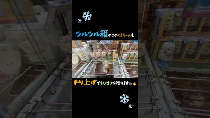 #回遊館長浜店　ちびゴリずり上げチャレンジします✨
