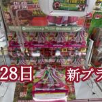 【クレーンゲーム】新プライズ初日攻略☺猫猫しかまだ入荷してなかったけど🥲 #マンガ倉庫月隈 #新プライズ