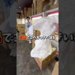 【ゲーセン】めちゃめちゃ取れると噂のゲーセンで食べ物で袋をパンパンにできるか挑戦しました。(クレーンゲーム)