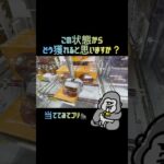 【クレーンゲーム】とれとる米原店さんでちびゴリ大好きなヤングドーナツゲットです💖 #とれとる米原店  #ゲームセンター #クレーンゲーム #ゲーセン #クレゲ #お菓子 #おかし