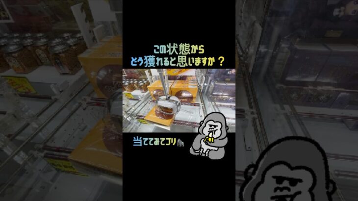【クレーンゲーム】とれとる米原店さんでちびゴリ大好きなヤングドーナツゲットです💖 #とれとる米原店  #ゲームセンター #クレーンゲーム #ゲーセン #クレゲ #お菓子 #おかし