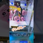 【クレーンゲーム】おぱんちゅうさぎのポーチが可愛すぎるぅぅぅ