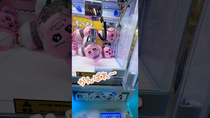 【クレーンゲーム】おぱんちゅうさぎのポーチが可愛すぎるぅぅぅ