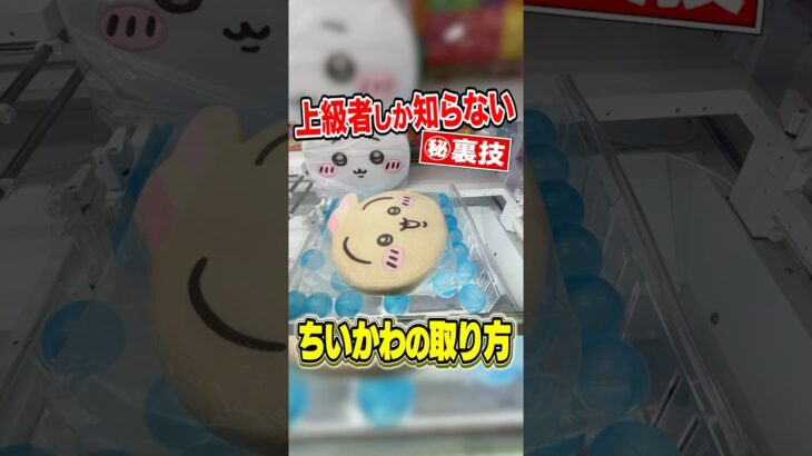 【㊙︎裏技大公開！】ラウワンでちいかわ攻略してみた！！！