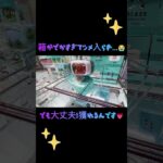 【クレーンゲーム】#とれとる米原店さん のでか箱放置台攻略してきた✊🏻 #クレーンゲーム #ゲームセンター #クレゲ #ミッキーマウス #ガラス鍋