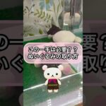 【クレーンゲーム攻略】この一手は必要？？ぬいぐるみの取り方！！