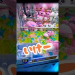 【クレーンゲーム】おぱんちゅうさぎの取り方