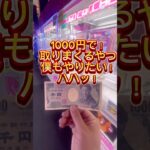 あそこに刺せばイケると思ったんだが#クレーンゲーム#ゲームセンター#ぬいぐるみ#クレーンゲーム攻略