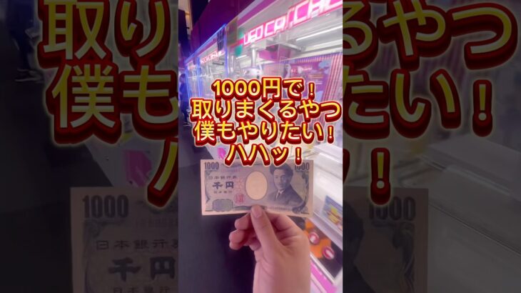 あそこに刺せばイケると思ったんだが#クレーンゲーム#ゲームセンター#ぬいぐるみ#クレーンゲーム攻略