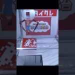 【オンクレ】橋わたし/甘め設定台