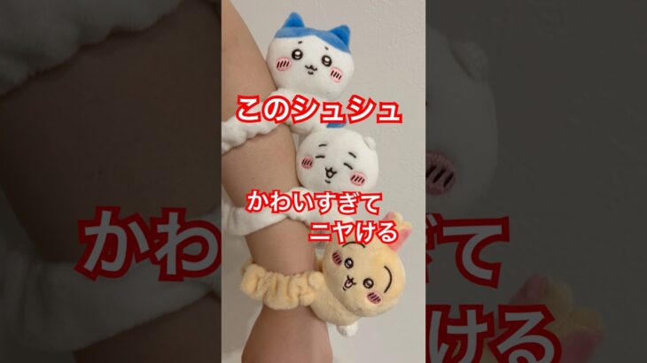 【ちいかわ】ぬいぐるみシュシュゲットしたよ♡