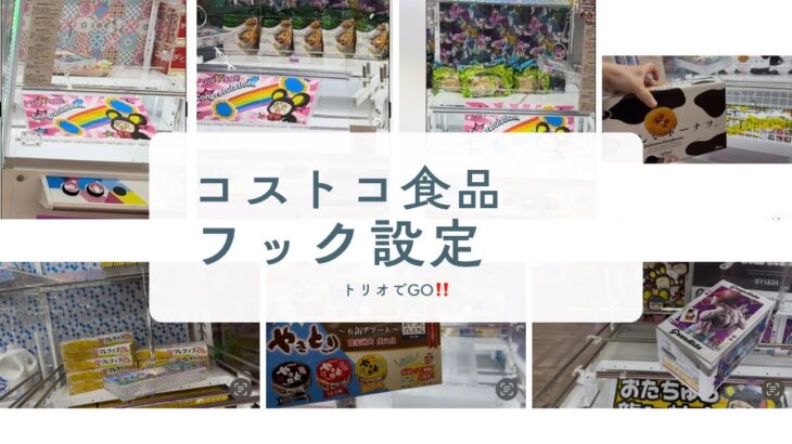 【フック設定〜橋渡し】フック設定でコストコ景品を攻略してみた！食品はゲーセンで取ろう！