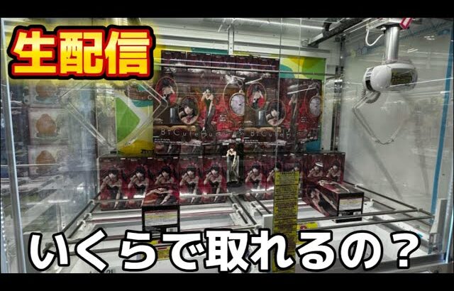 【クレーンゲーム】新景品たくさんとるよ！